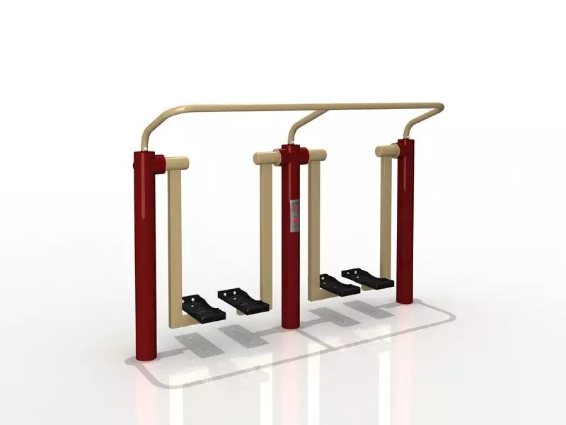 ZS-2006BH双位漫步机