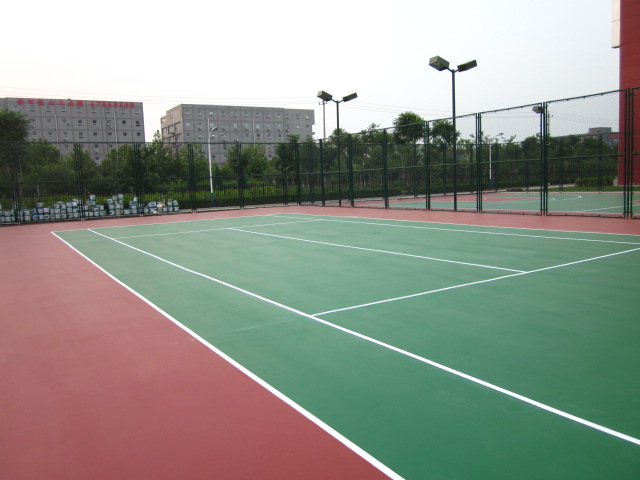 北京舒泰神药业硅PU球场 
